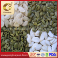 Export Standard Shine Skin Pumpkin Seeds